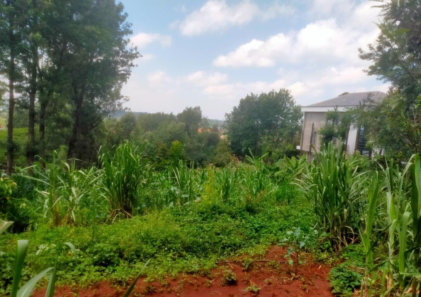 Quarter Acre in Karen at KSh 15M