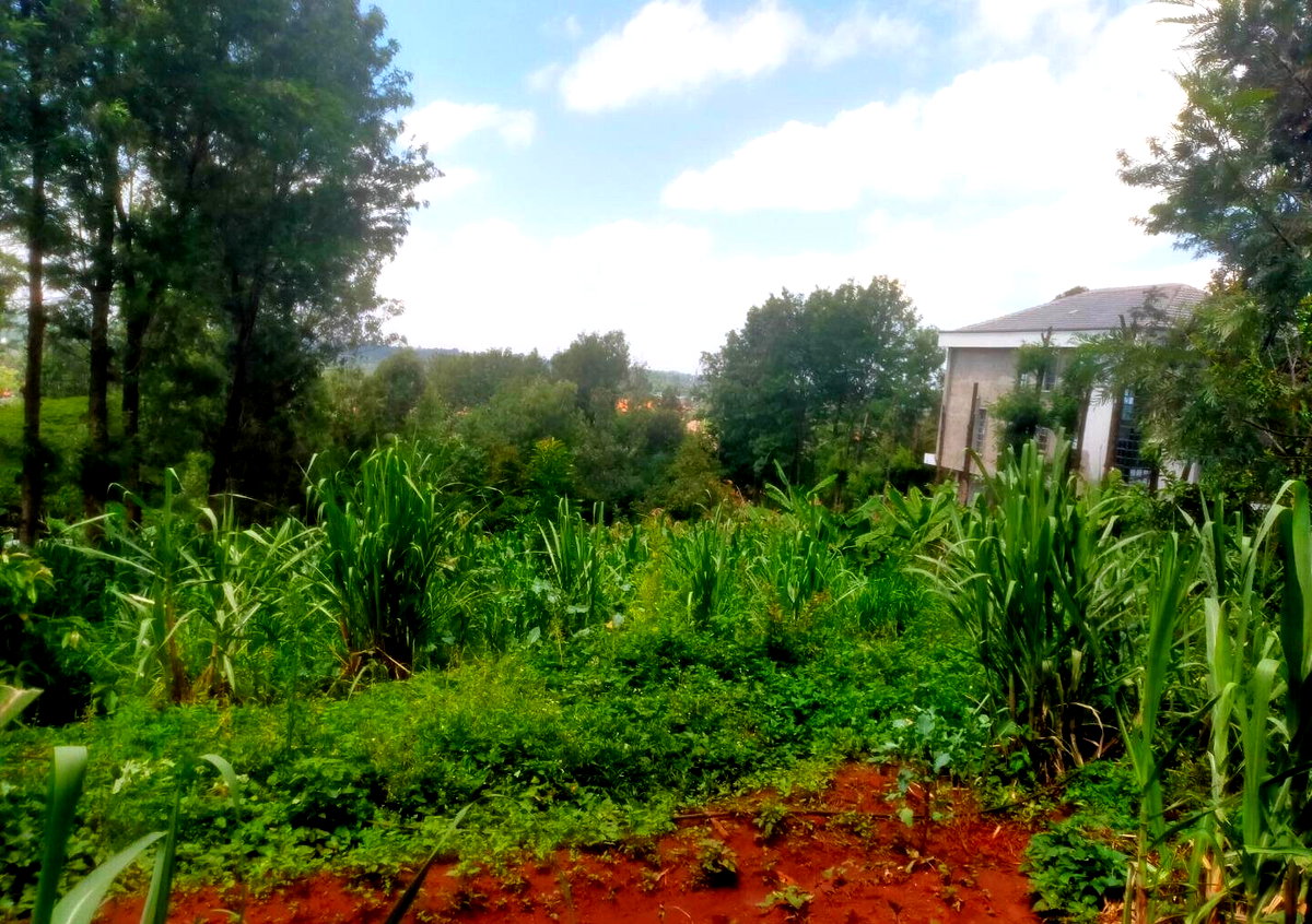 Quarter Acre in Karen at KSh 15M