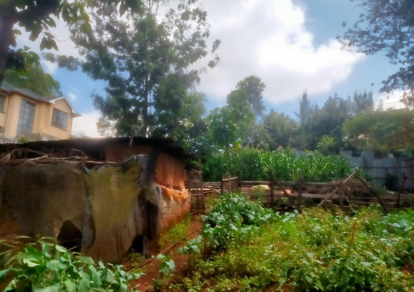 Quarter Acre in Karen at KSh 15M