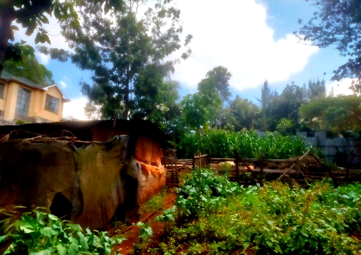 Quarter Acre in Karen at KSh 15M