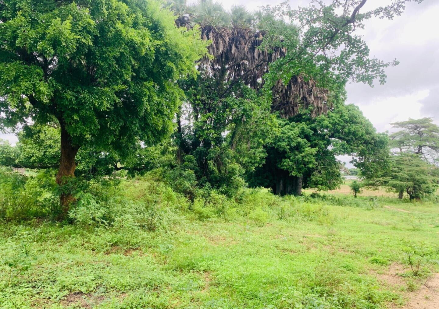 5-Acre Plot in Malindi at KSh 35M