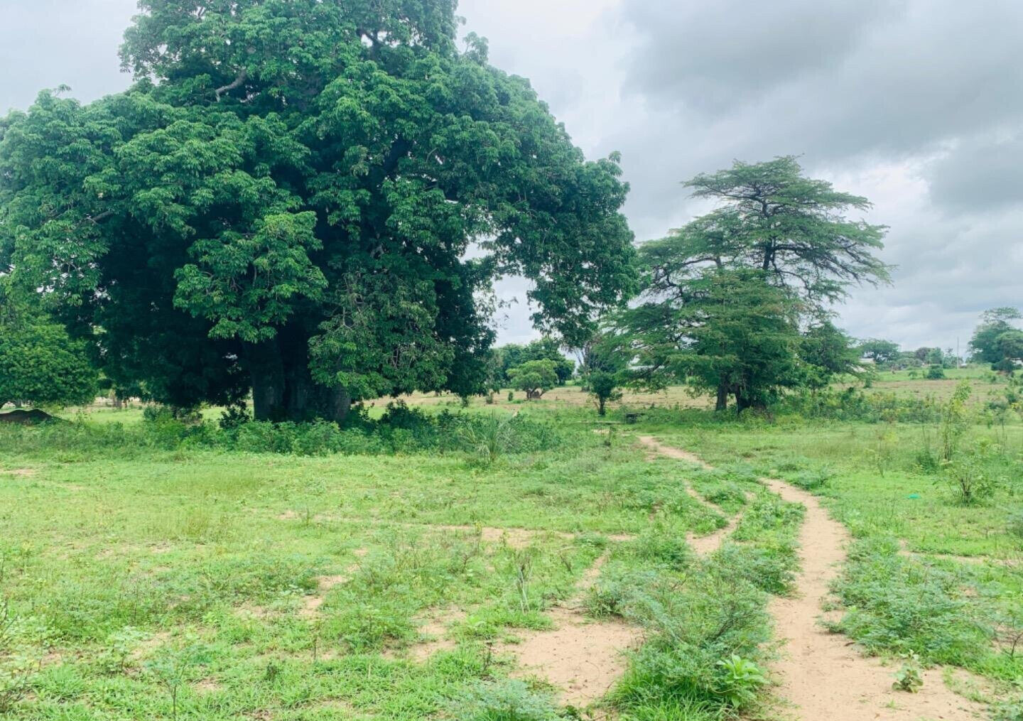 5-Acre Plot in Malindi at KSh 35M