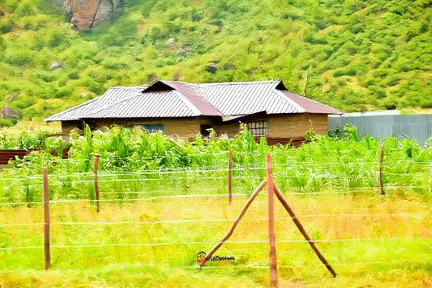 Residential Plots in Nakuru