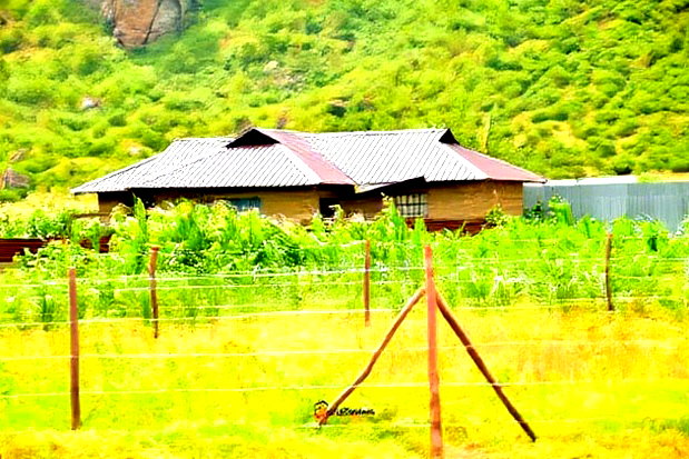 Residential Plots in Nakuru