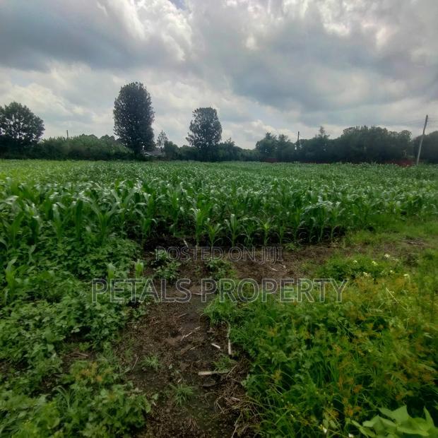 1/2 an Acre for Sale in Mercy Njeri