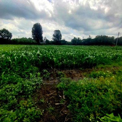 1/2 an Acre for Sale in Mercy Njeri - Image 2