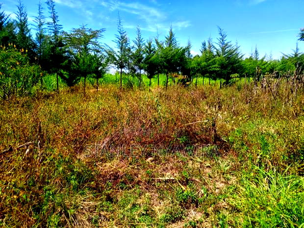 One Acrea for Sale Nanyuki Airstrip