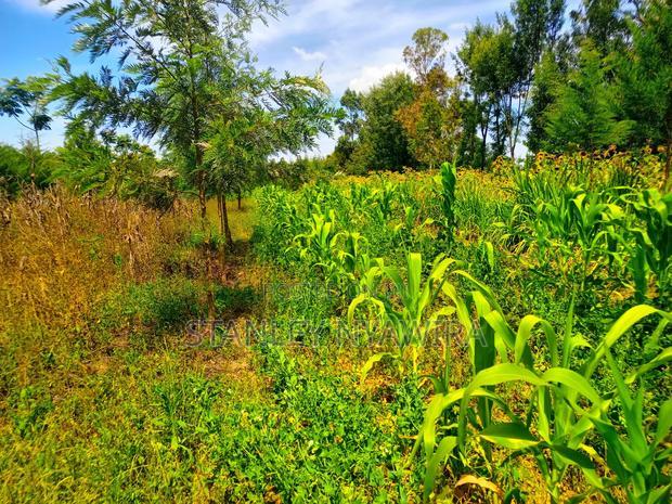 One Acrea for Sale Nanyuki Airstrip