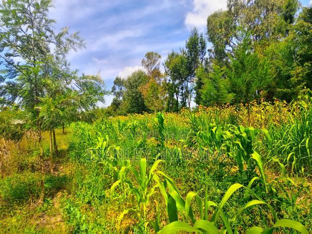 One Acrea for Sale Nanyuki Airstrip