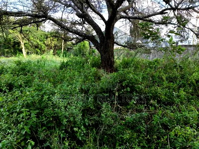 Eighth Acre Plot in Rimpa, Ongata Rongai Near the Tarmac - Image 3