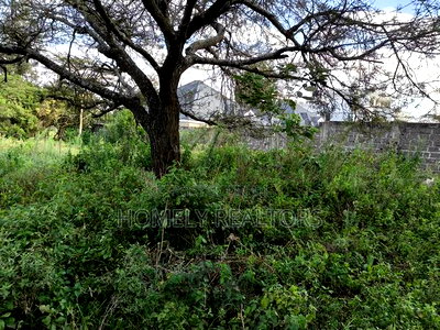 Eighth Acre Plot in Rimpa, Ongata Rongai Near the Tarmac - Image 2