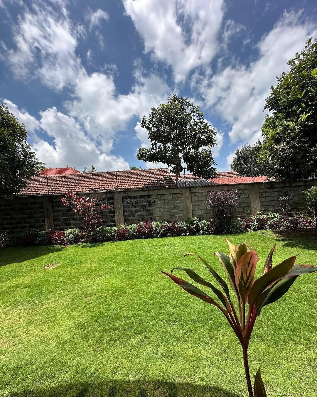 5-Ensuite Family Home with Fireplace & Garden - Lavington