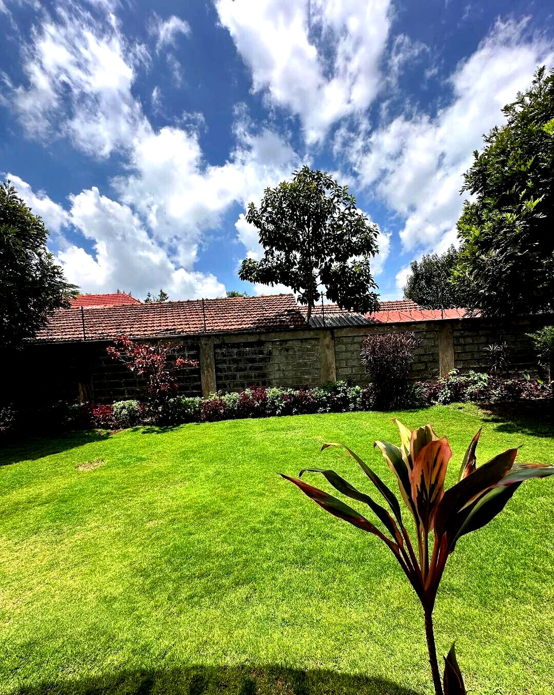 5-Ensuite Family Home with Fireplace & Garden - Lavington