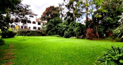 Half-Acre 5BR Home in Nyari