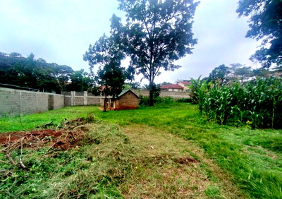 1/2 Acre Spring Valley Gem with Garden