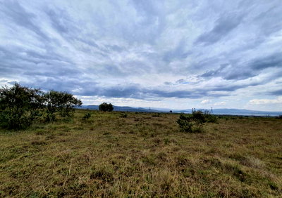297-Acre Land in Naivasha