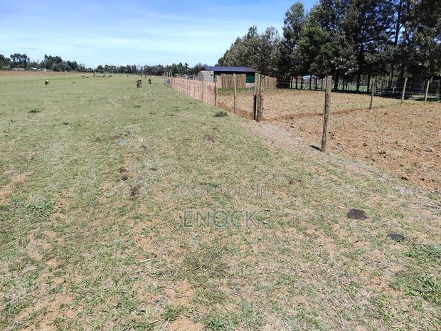 Prime Plots in Mtimoja Near University of Eldoret