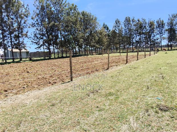 Prime Plots in Mtimoja Near University of Eldoret
