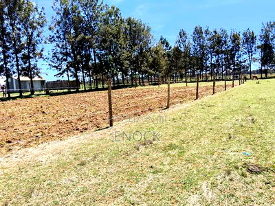 Prime Plots in Mtimoja Near University of Eldoret - Image 7