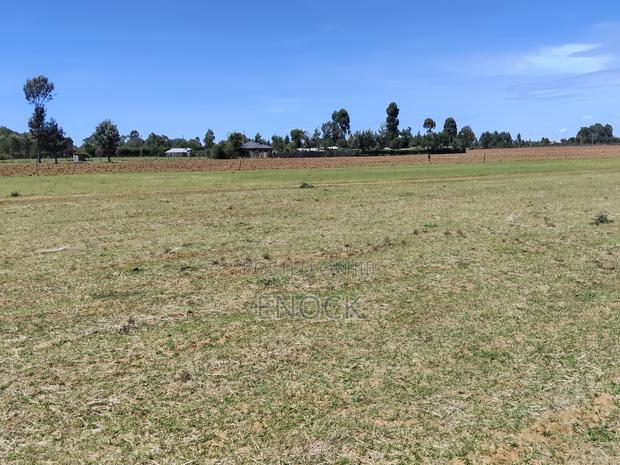 Prime Plots in Mtimoja Near University of Eldoret