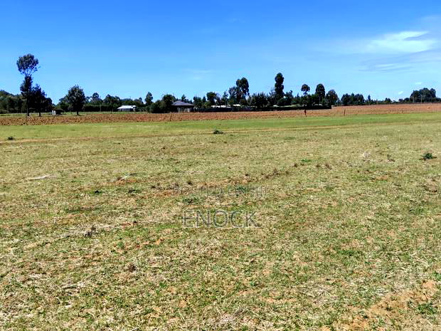 Prime Plots in Mtimoja Near University of Eldoret