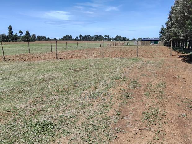 Prime Plots in Mtimoja Near University of Eldoret