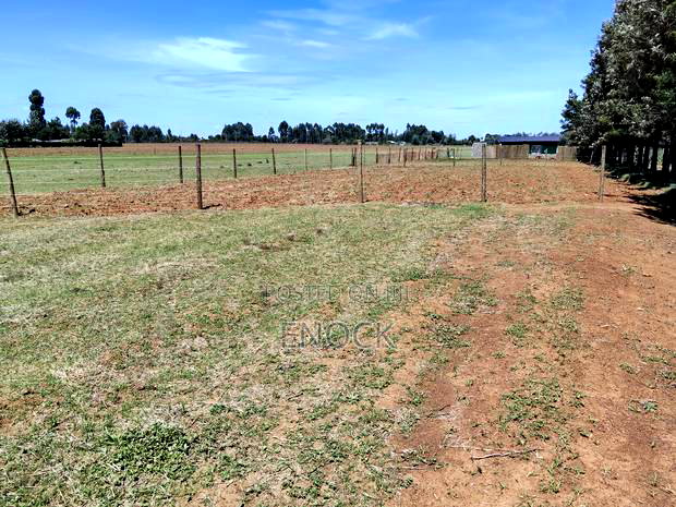 Prime Plots in Mtimoja Near University of Eldoret