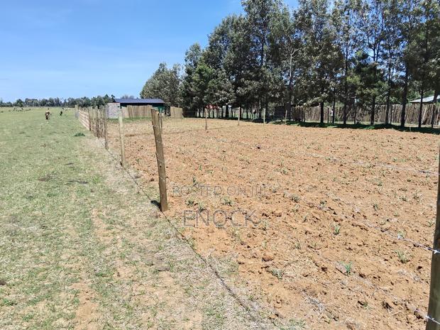 Prime Plots in Mtimoja Near University of Eldoret