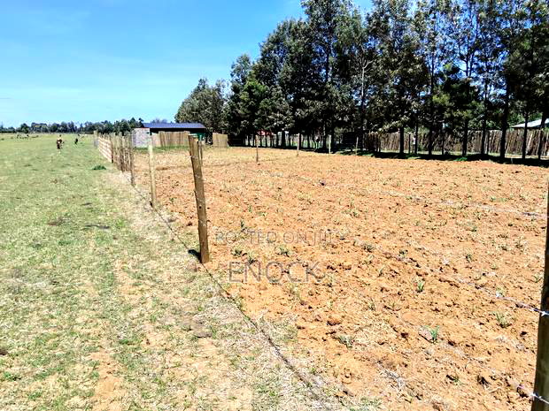 Prime Plots in Mtimoja Near University of Eldoret