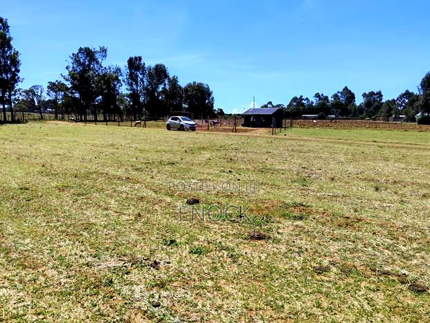Prime Plots in Mtimoja Near University of Eldoret