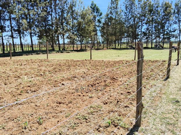 Prime Plots in Mtimoja Near University of Eldoret