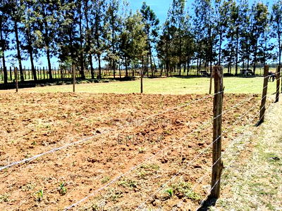 Prime Plots in Mtimoja Near University of Eldoret - Image 6