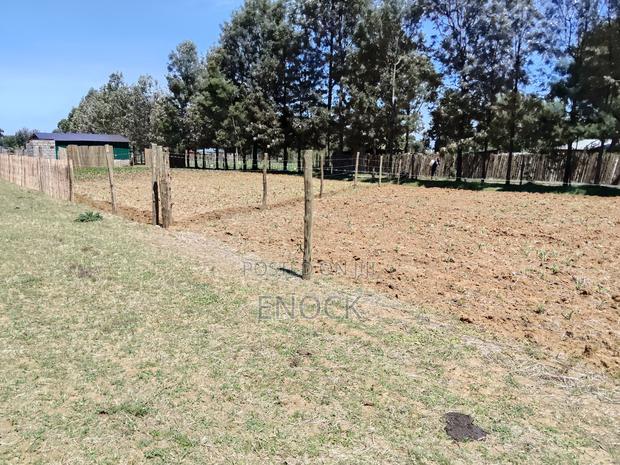Prime Plots in Mtimoja Near University of Eldoret