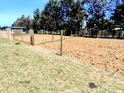 Prime Plots in Mtimoja Near University of Eldoret - Image 3