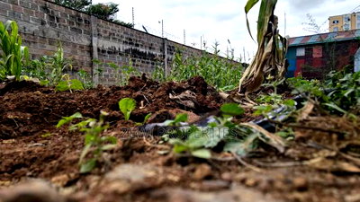 1/8 Race Course Talanta Stadium - Image 3