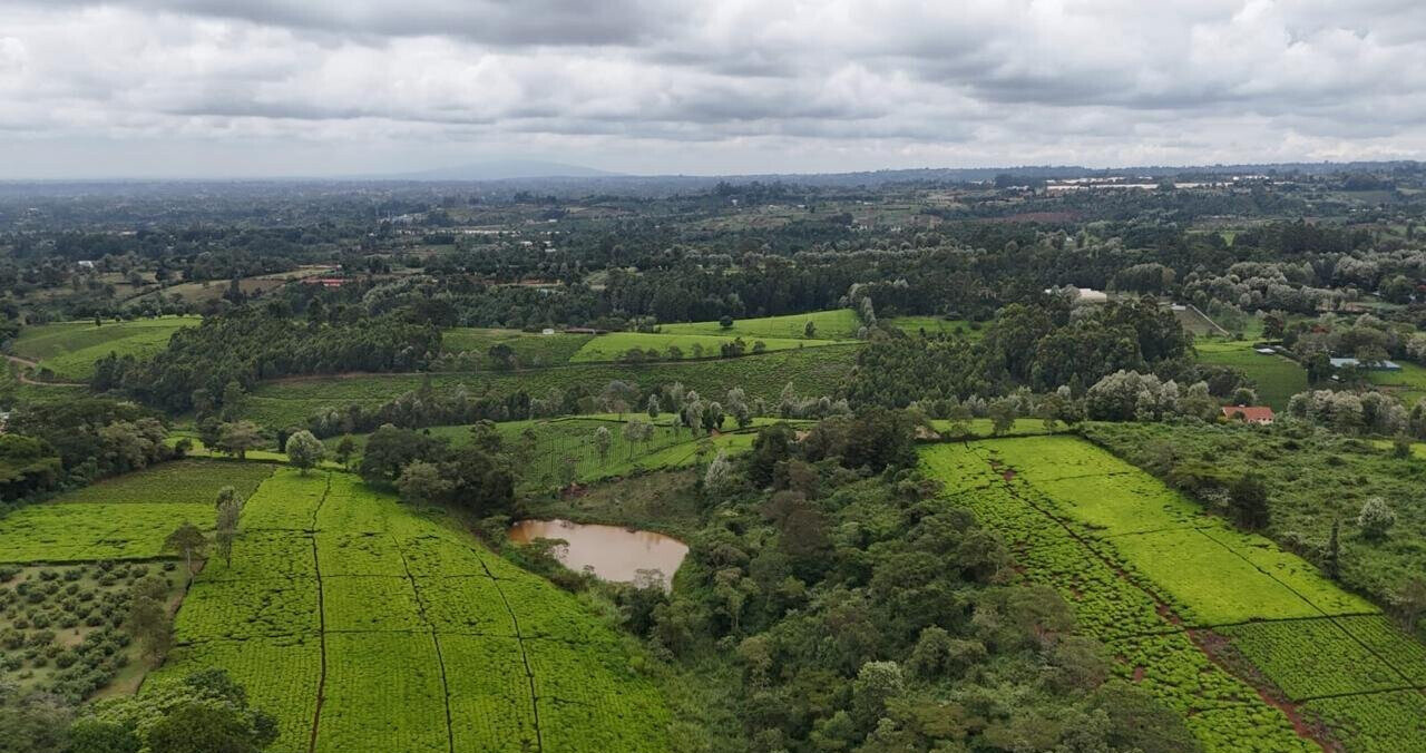 Tigoni's Best Kept Secret: 1/2 Acre Plot