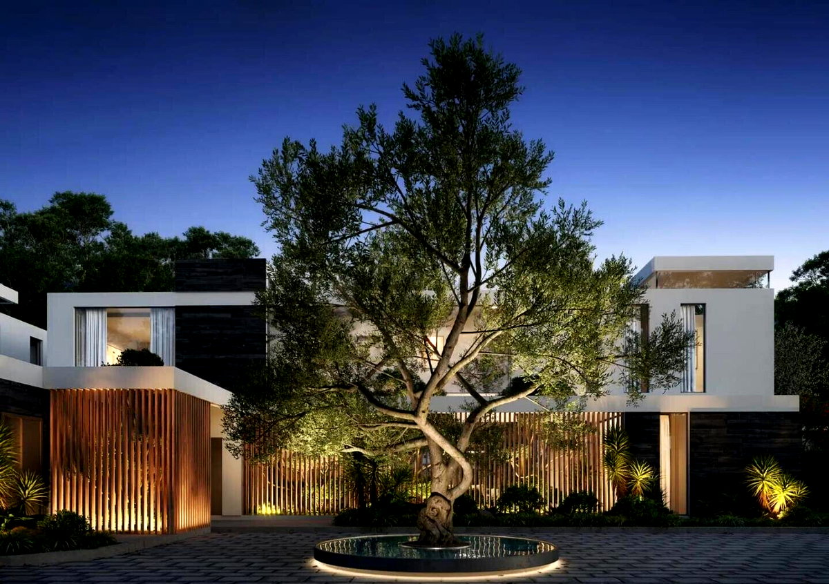 Tigoni's Best Kept Secret: 1/2 Acre Plot
