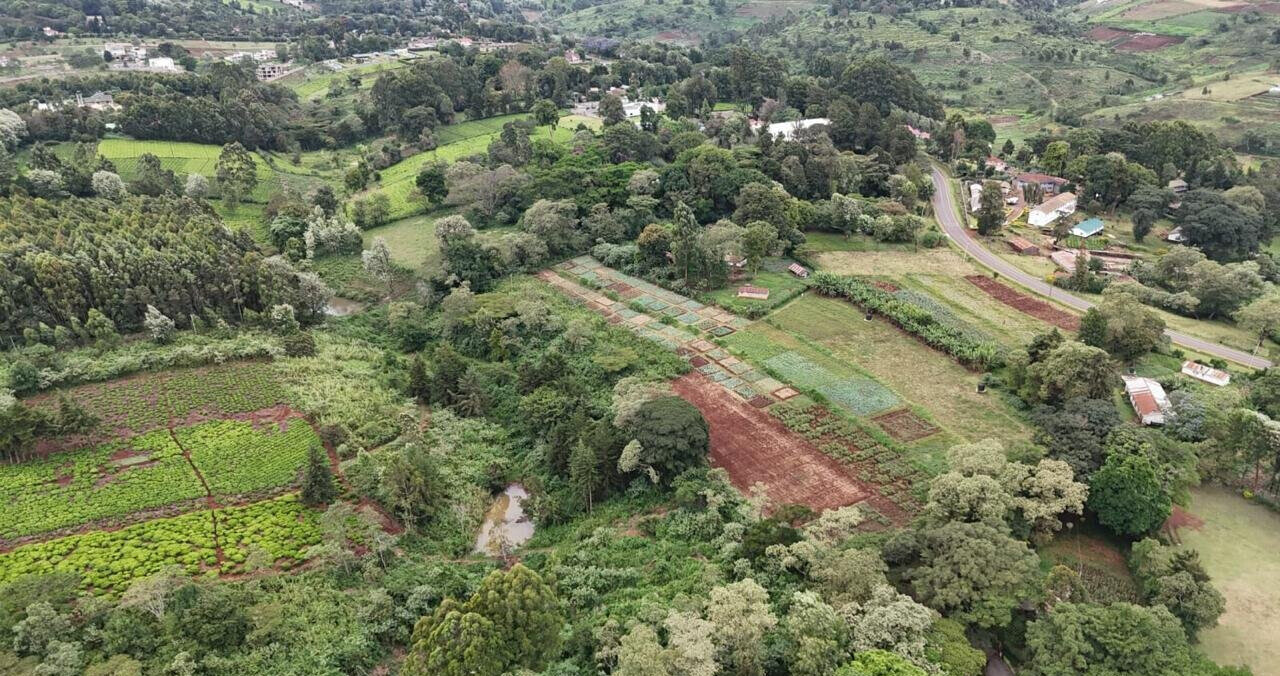 Tigoni's Best Kept Secret: 1/2 Acre Plot