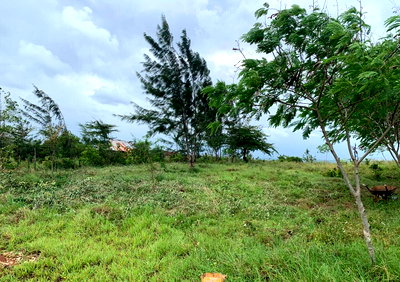 1 Acre Garden Plot in Malindi