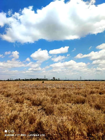 50/100 Residential Plot in Kisaju Kitengela - Image 5