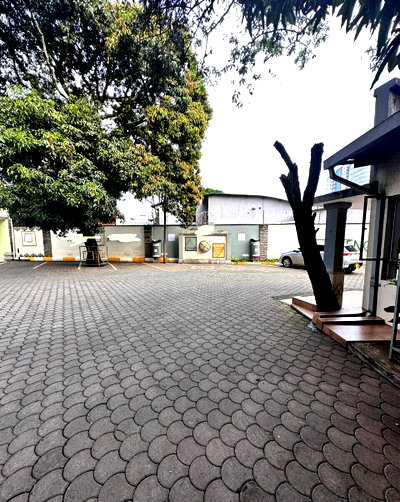 Quarter Acre Office Space with Garden