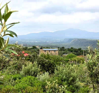1/8 Acre Garden Plot at KSh 2M