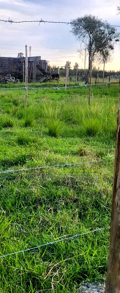 40X80 Quick Sale Plot Ruiru Matangini - Image 4