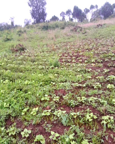 1 Acre Land at KSh 1.7M