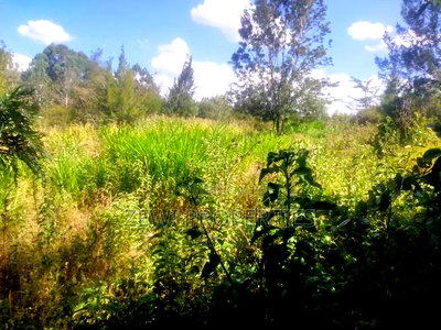 1/8 Acre Plot Olkeri, Ngong - Image 2