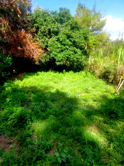 1/8 Acre Plot Olkeri, Ngong - Image 4