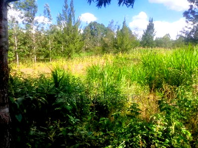 1/8 Acre Plot Olkeri, Ngong - Image 3