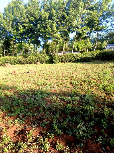 Half Acre Kibiku - Image 1