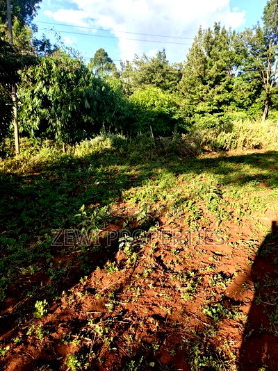 Half Acre Kibiku - Image 3
