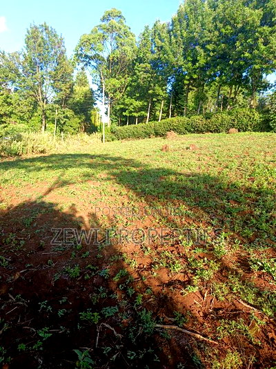 Half Acre Kibiku - Image 2